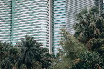Fototapeta na wymiar Kuala Lumpur, Malaysia – March 17, 2019. Image of the downtown, modern buildings surrounded by bushy palms, urbanistic; mega polis concept.