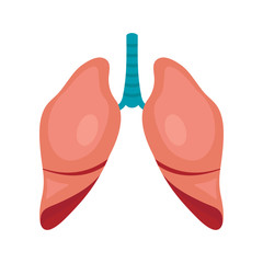 Body part lungs icon in flat style