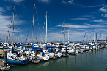 Fototapeta na wymiar Masts of ships rise up from a vast array of boats docked in this compression shot of a marina along the bay