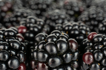 Lot of whole fresh black blackberry in close up isolated on white background