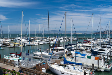 Fototapeta na wymiar Masts of ships rise up from a vast array of boats docked in this compression shot of a marina along the bay