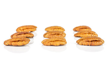 Group of nine whole dry brown pecan nut isolated on white background