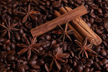 cinnamon and Star Anise on a bed of coffee beans