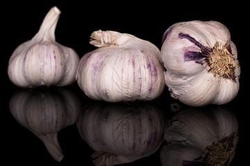 Group of three whole aromatic white garlic isolated on black glass