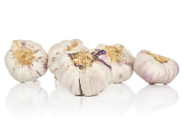 Group of five whole aromatic white garlic isolated on white background