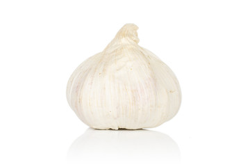 One whole light aromatic white garlic isolated on white background
