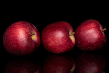 Group of three whole fresh apple red delicious isolated on black glass