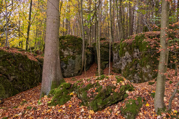 Geheimnissevolle Landschaft des Druidenhaines in der Fränkischen Schweiz