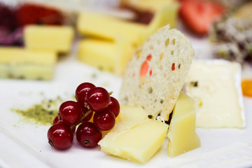 Platter of antipasti and appetizers