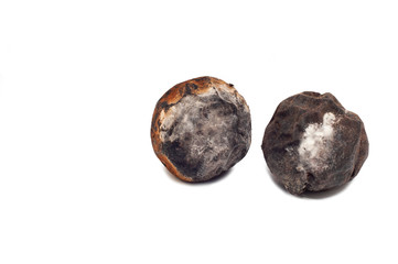 spoiled walnut on a white background