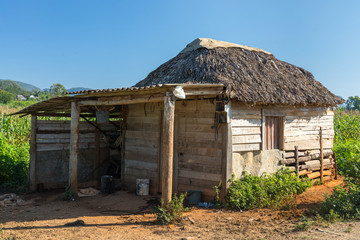 Barn in beautiful valley of Vinales Cuba