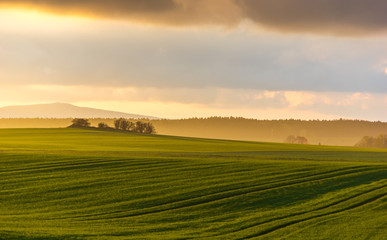 hazy rural evening landscape with golden light and group of trees in the distance. grey hills in the background and field with fresh green in foreground
