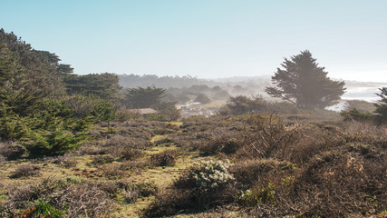 Naklejka premium pacific coast 