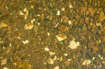 Bottom of a shallow river, with stones and pebbles - suitable as a background