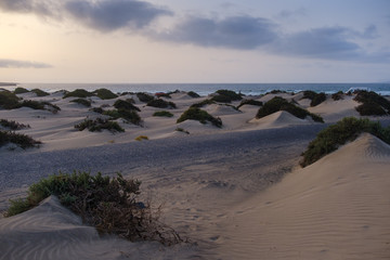 Sandy Famara beach on Lanzarote island