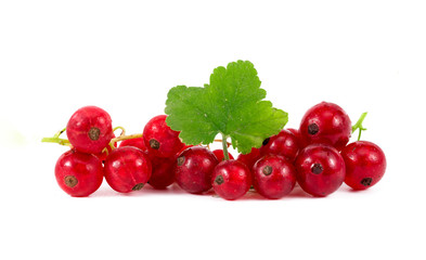 .red berries on a white background