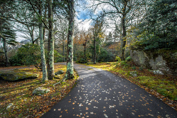 Scenic view of Grandfather Mountain in fall season