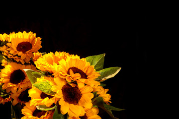 photos of sunflowers composition, black background, placed on the bottom left