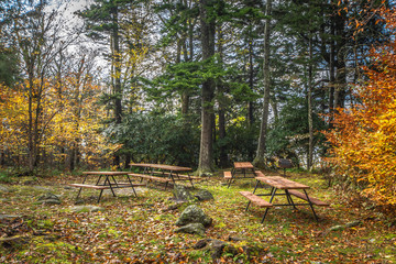 Picnic Area on Grandfather Mountain