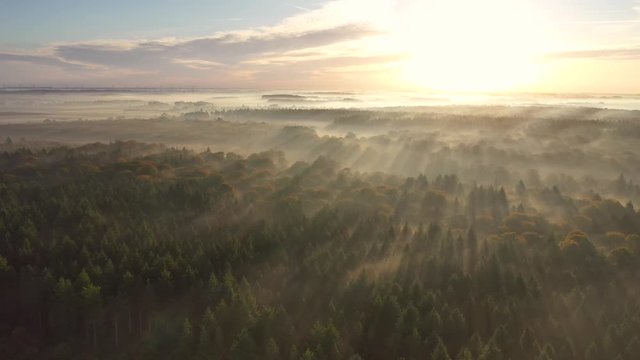 Vue a&eacute;rienne de la for&ecirc;t de Cr&eacute;cy en automne