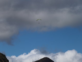 kite in the sky of Hawaii 