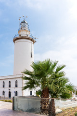 Leuchtturm und Palme Im Hafen von Malaga 