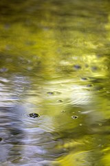 Eau bulles texture reflet vert - nature liquide 