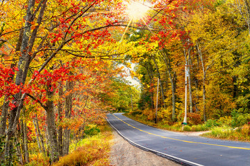 Beautiful autumn road winding through splendid fall foliage in New England. Sun rays peeking...