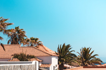 house roofs, palm trees and blue sky copy space