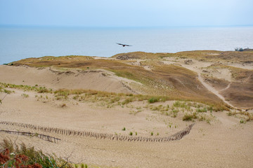 Panoramic view of sand dunes in Nida, Klaipeda, Lithuania, Europe. Curonian Spit and Curonian...