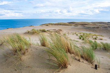 Panoramic view of sand dunes in Nida, Klaipeda, Lithuania, Europe. Curonian Spit and Curonian Lagoon, with reeds. Baltic Dunes. Unesco heritage