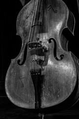 Double bass black and white