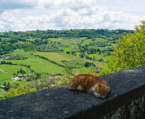 Moments of happiness in Italy