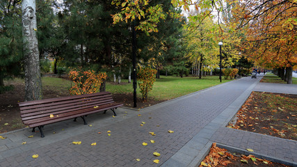 Autumn leaf fall on the city embankment