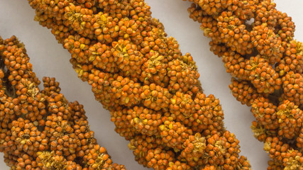 Red millet on silver-gray background. Top view.