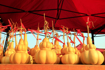 Special-shaped gourd Close-up