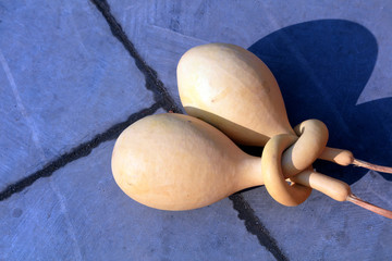 Special-shaped gourd Close-up