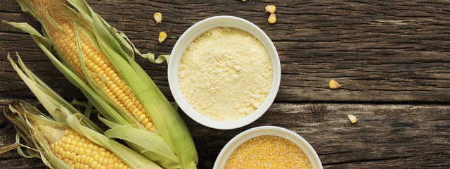 Polenta corn grits and corn flour in a porcelain bowl on a wooden table. Ears of corn and pieces of...