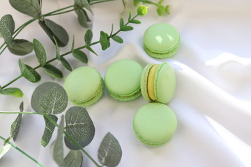 Colorful makarons. Pastel colors. Background