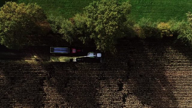 Maisernte, Maish&auml;cksler in der Aktion, Erntewagen mit Traktor
