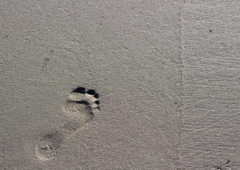 Footprint in the sand
