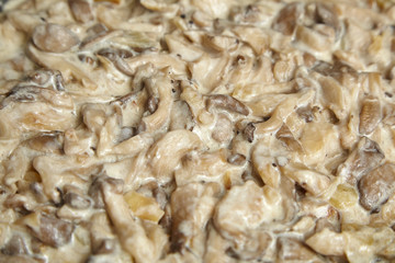 Oyster mushrooms cooked in sour cream sauce. Food texture background
