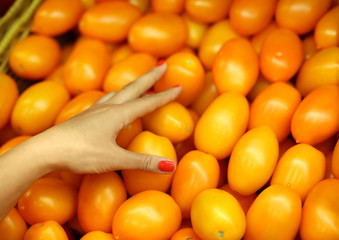 Female hand choosing tomatoes in the store. Concept of healthy food, bio, vegetarian, diet.