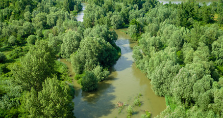 Fototapeta na wymiar Sidebranch on the Drava River, Croatia