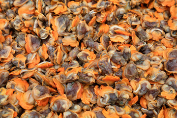 Seafood shellfish in the kitchen