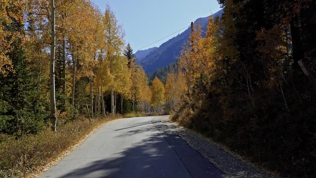 Gorgeous mountain road surrounded by golden yellow fall trees on a bright warm autumn afternoon.