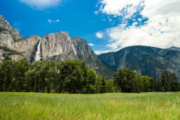 View of Yosemite Falls from Yosemite Valley Meadows, California, USA. Near Landmarks: Tunnel View, El Capitan, Bridalveil Falls, Half Dome, Glacier Point.