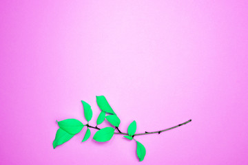 Autumn composition, frame of leaves. Branch with green leaves, plum, on a light pink background. Flat lay, top view, copy space