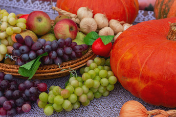 There are pumpkins, grapes, apples, onions and garlic lying on the table, destined for sale at the fair. Fresh vegetables and fruits and dummies. Autumn horizontal background.