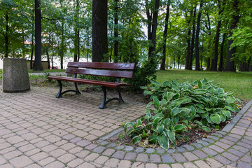 Brown elegant empty bench in a park